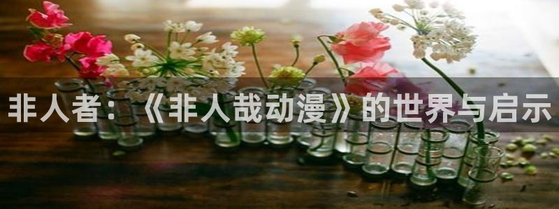 漫岛动漫首页：非人者：《非人哉动漫》的世界与启示