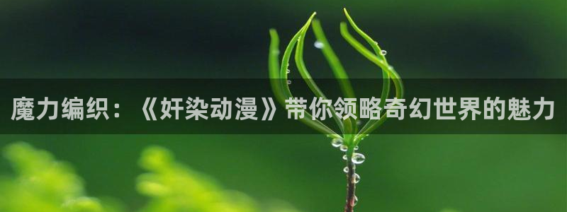 漫岛动漫怎么下载