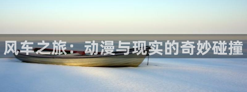 动漫岛动漫官网入口